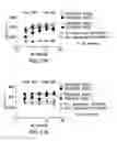 Fig. 34 - PD1 and/or LAG3 binders