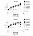 Fig. 37 - PD1 and/or LAG3 binders