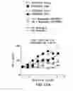 Fig. 45 - PD1 and/or LAG3 binders