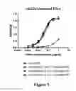 Fig. 06 - CD3-binding molecules capable of binding to human and non-human CD3