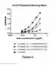 Fig. 07 - CD3-binding molecules capable of binding to human and non-human CD3