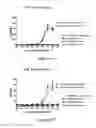 Fig. 20 - CD3-binding molecules capable of binding to human and non-human CD3