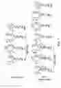 Fig. 26 - PD1/CTLA4 binders