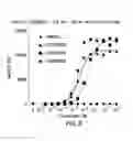 Fig. 27 - PD1/CTLA4 binders