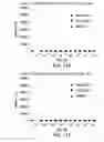 Fig. 32 - PD1/CTLA4 binders