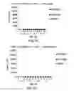 Fig. 14 - CTLA4 binders