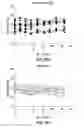 Fig. 24 - CTLA4 binders