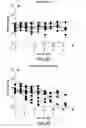 Fig. 25 - CTLA4 binders