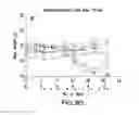 Fig. 27 - CTLA4 binders