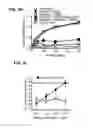 Fig. 04 - THERAPIES BASED ON CONTROL OF REGULATORY T CELL STABILITY AND FUNCTION VIA A NEUROPILIN-1:SEMAPHORIN AXIS