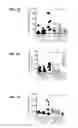Fig. 11 - THERAPIES BASED ON CONTROL OF REGULATORY T CELL STABILITY AND FUNCTION VIA A NEUROPILIN-1:SEMAPHORIN AXIS