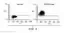 Fig. 04 - Methods of inducing or enhancing an immune response in a subject having cancer by administering GITR antibodies