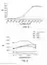 Fig. 06 - Methods of inducing or enhancing an immune response in a subject having cancer by administering GITR antibodies