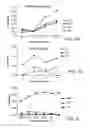 Fig. 07 - Methods of inducing or enhancing an immune response in a subject having cancer by administering GITR antibodies