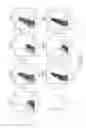Fig. 04 - Therapeutic antibodies