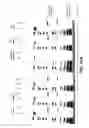 Fig. 28 - Anti-Jagged1 antibodies and methods of use