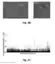 Fig. 04 - Tumor selective macropinocytosis-dependent rapidly internalizing antibodies
