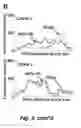 Fig. 06 - Tumor selective macropinocytosis-dependent rapidly internalizing antibodies