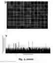 Fig. 07 - Tumor selective macropinocytosis-dependent rapidly internalizing antibodies