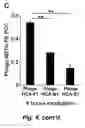 Fig. 10 - Tumor selective macropinocytosis-dependent rapidly internalizing antibodies