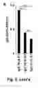 Fig. 12 - Tumor selective macropinocytosis-dependent rapidly internalizing antibodies