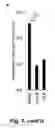 Fig. 17 - Tumor selective macropinocytosis-dependent rapidly internalizing antibodies