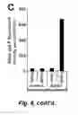 Fig. 19 - Tumor selective macropinocytosis-dependent rapidly internalizing antibodies
