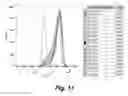 Fig. 23 - Tumor selective macropinocytosis-dependent rapidly internalizing antibodies