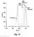 Fig. 25 - Tumor selective macropinocytosis-dependent rapidly internalizing antibodies