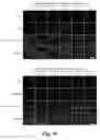 Fig. 27 - Tumor selective macropinocytosis-dependent rapidly internalizing antibodies