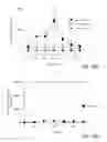 Fig. 22 - Methods for Treating Conditions Associated with MASP-2 Dependent Complement Activation