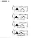 Fig. 14 - Pharmaceutical compositions with resistance to soluble CEA