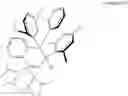 Fig. 19 - Transition metal catalysts for olefin polymerization