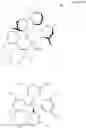Fig. 20 - Transition metal catalysts for olefin polymerization