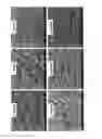 Fig. 15 - Polyisobutylene-based polyurethanes