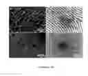 Fig. 06 - Ordered nanoscale domains by infiltration of block copolymers