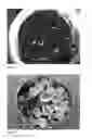 Fig. 07 - WATER EXPANDABLE POLYMER BEADS