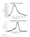 Fig. 07 - Rhodamine derivatives dyes and uses thereof