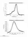 Fig. 08 - Rhodamine derivatives dyes and uses thereof