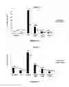 Fig. 03 - Identification and characterization of novel corrosion inhibitor molecules