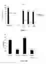 Fig. 05 - Identification and characterization of novel corrosion inhibitor molecules