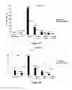 Fig. 06 - Identification and characterization of novel corrosion inhibitor molecules
