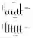 Fig. 07 - Identification and characterization of novel corrosion inhibitor molecules