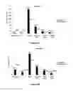 Fig. 09 - Identification and characterization of novel corrosion inhibitor molecules