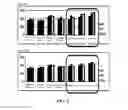 Fig. 03 - Waterproof tape having improved adhesion and manufacturing method thereof