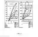 Fig. 04 - Waterproof tape having improved adhesion and manufacturing method thereof