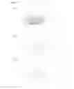 Fig. 06 - Wavelength conversion member and light emitting device using same