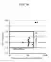 Fig. 11 - Phosphor and method for manufacturing the same