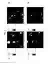 Fig. 05 - Self-limiting treatment compositions containing water-soluble polyelectrolyte complex
