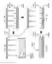 Fig. 04 - Systems, apparatus, and methods related to magnetically-controlled three-dimensional tissue cultures
